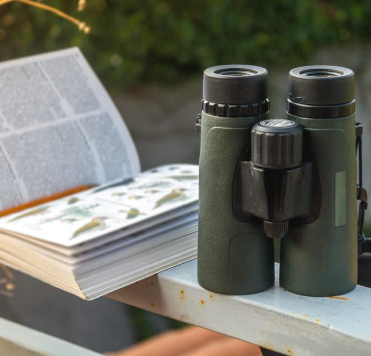 Birdwatching kit