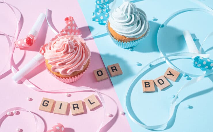 boy or girl cupcakes