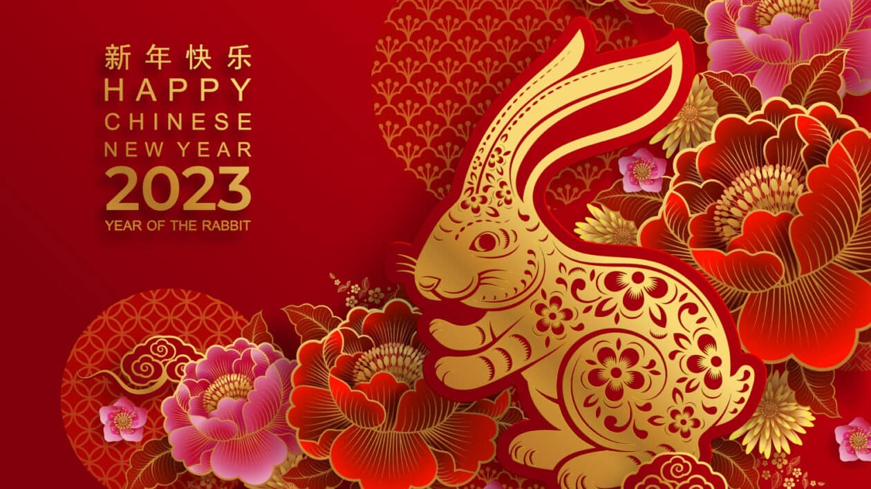 the year of the rabbit