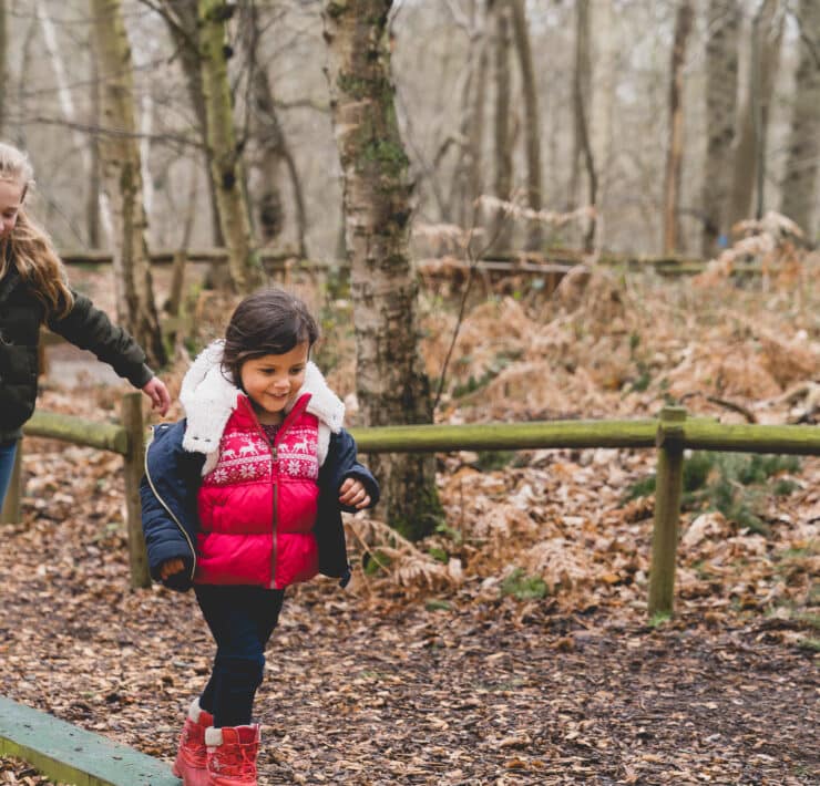 Kids walking through forest adventure playground