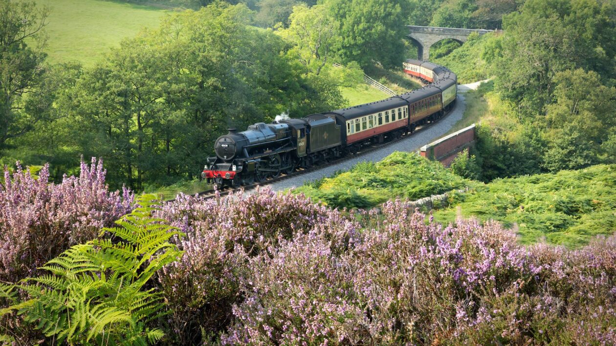 north yorkshire moors railway train