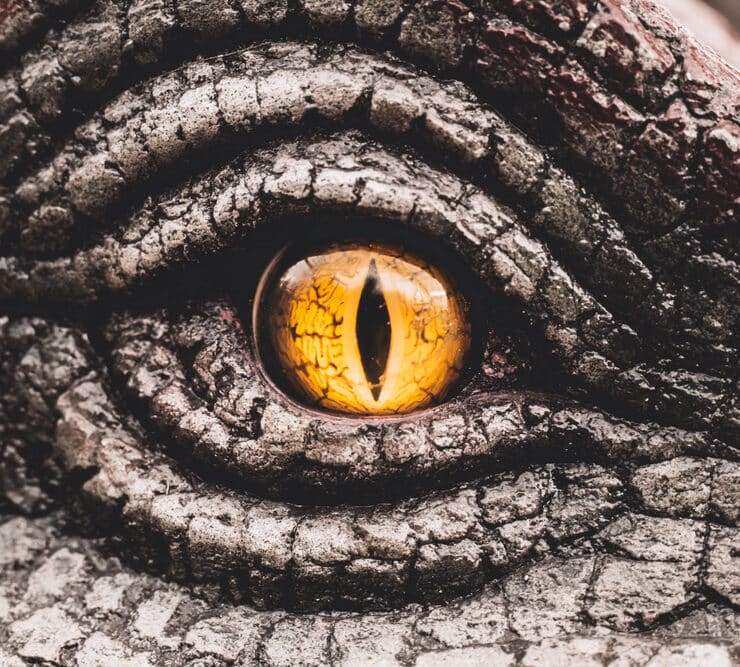dinosaur eye