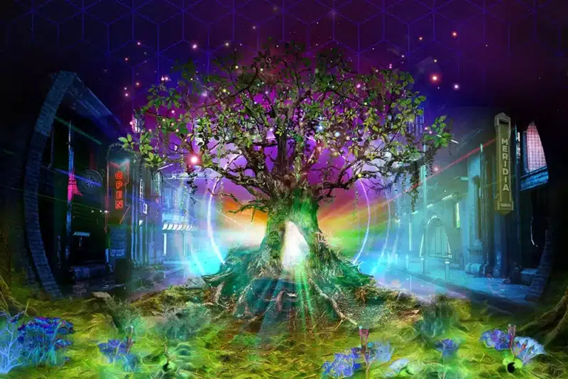the magic portal at the wake the tiger