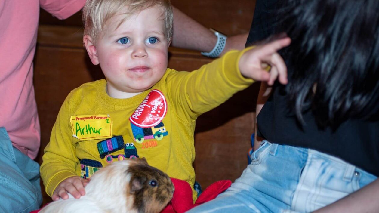 Child holding guinea pig Pennywell Farm