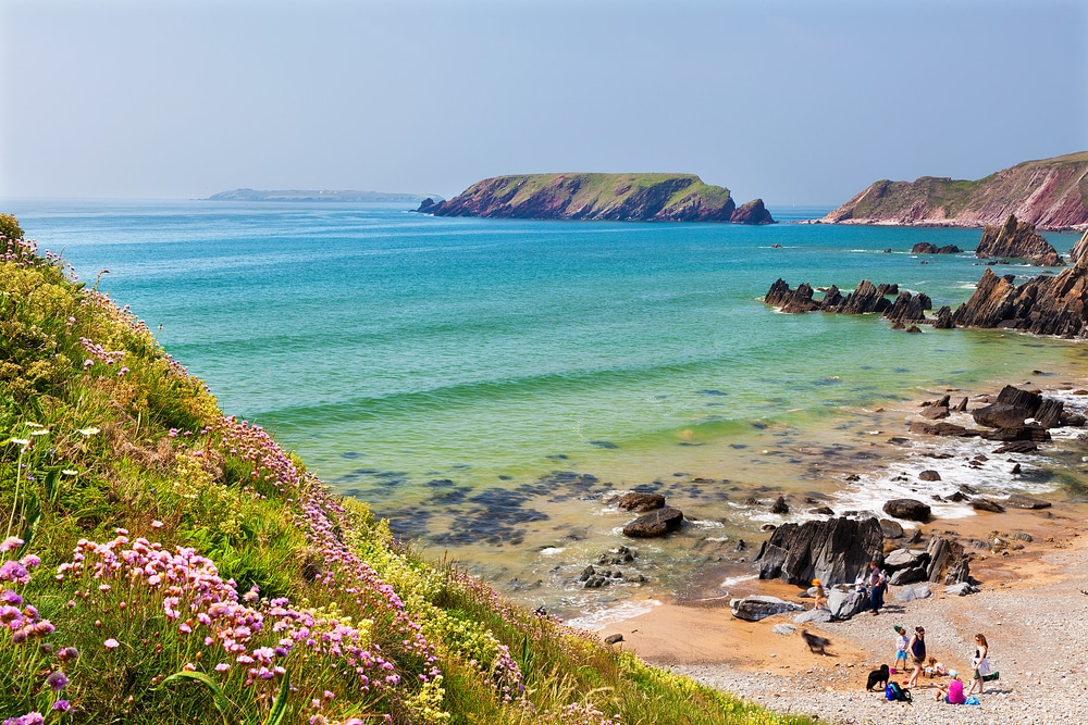 Top Dog Friendly Beaches In Wales | Day Out With The Kids