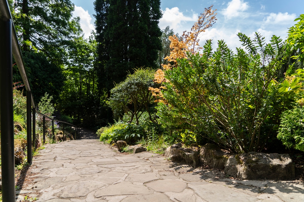 fletcher moss and gardens
