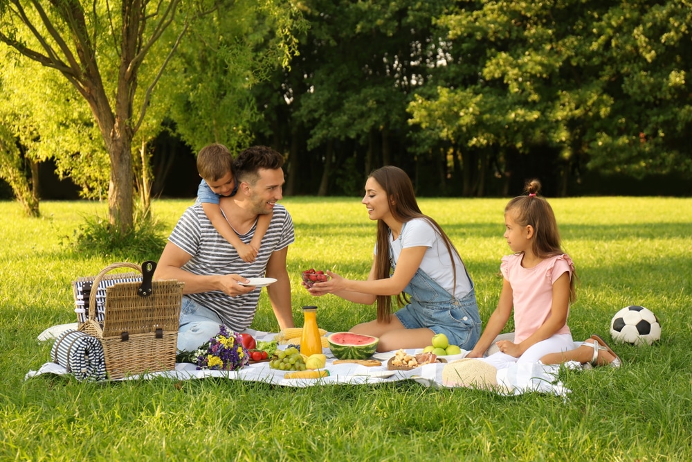 Family picnic