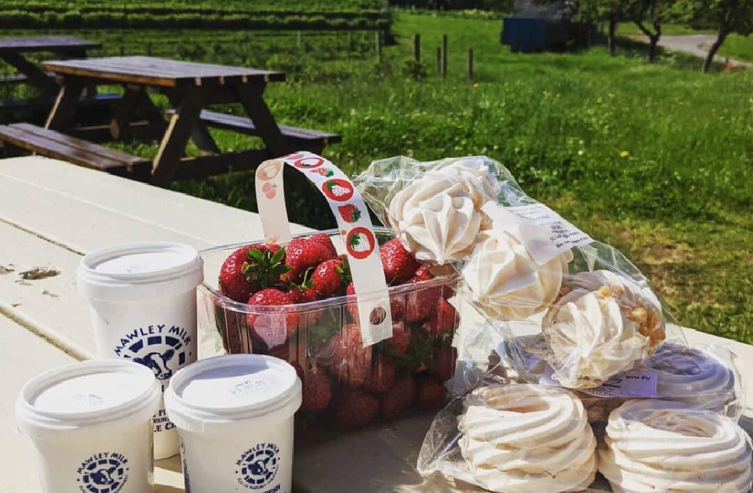 basket of strawberries, pots of double cream, and packs of meringues on an outdoor table in the middle of a field at Stanley Farm