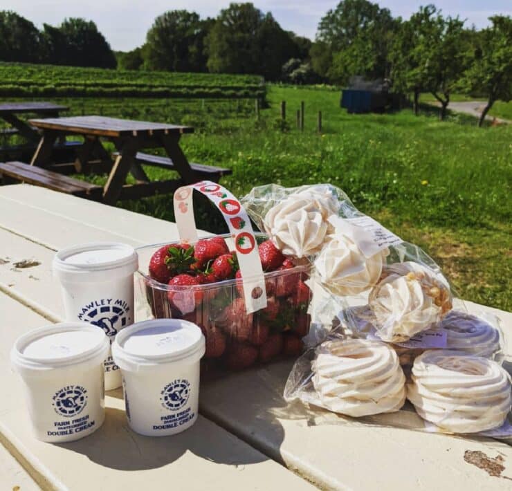 basket of strawberries, pots of double cream, and packs of meringues on an outdoor table in the middle of a field at Stanley Farm