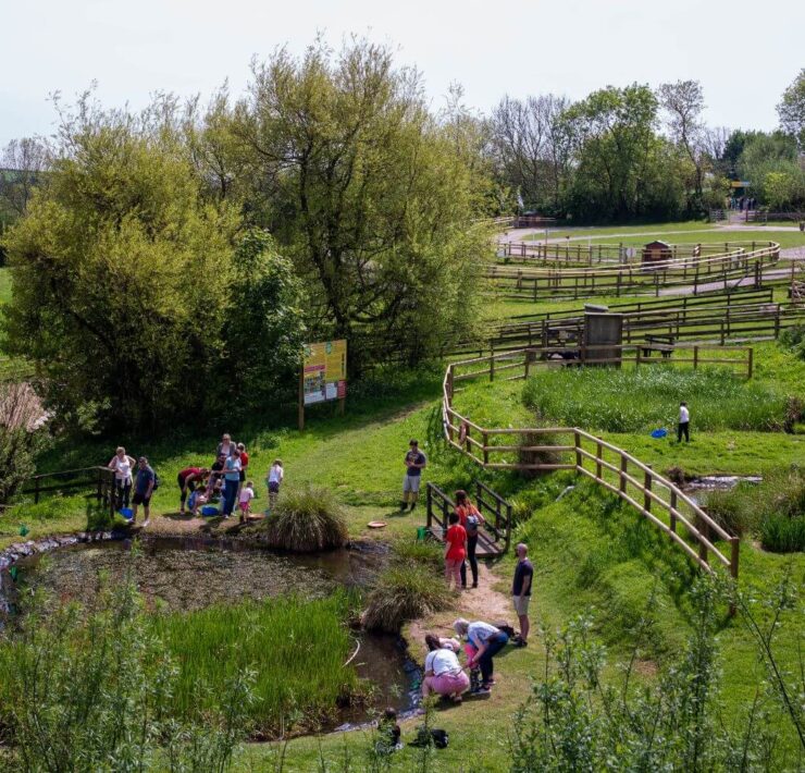 Pennywell Farm