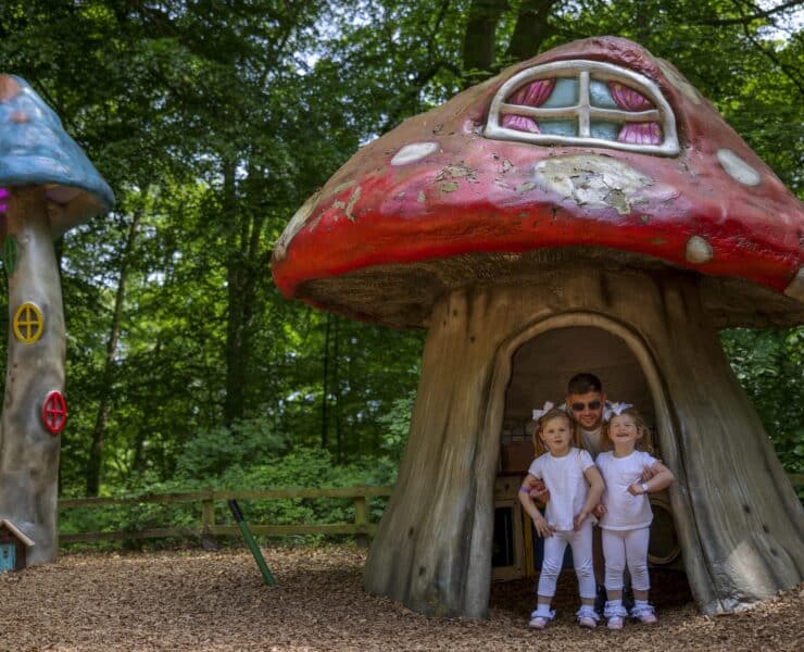 adventure trail at stockeld park