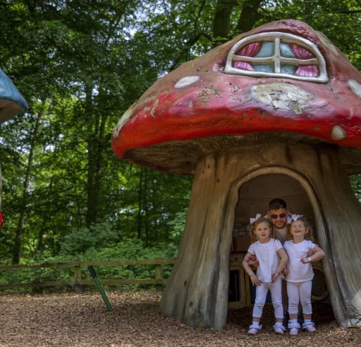 adventure trail at stockeld park