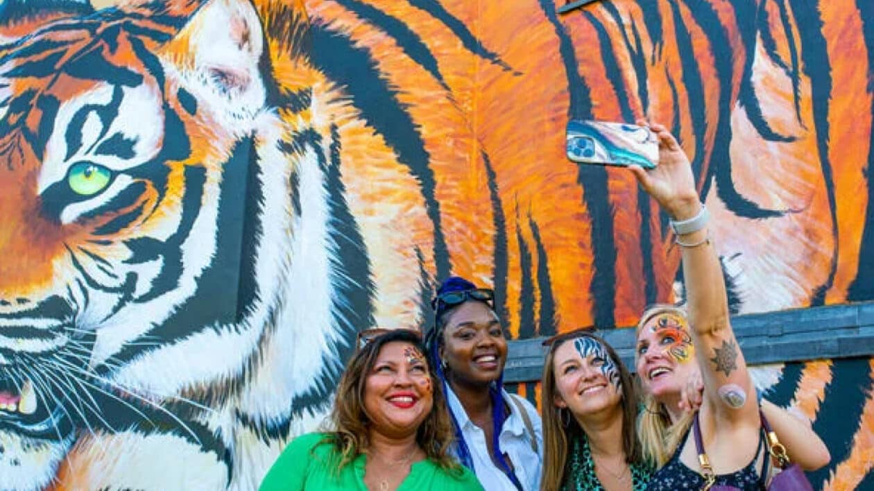 people taking pictures of tiger mural