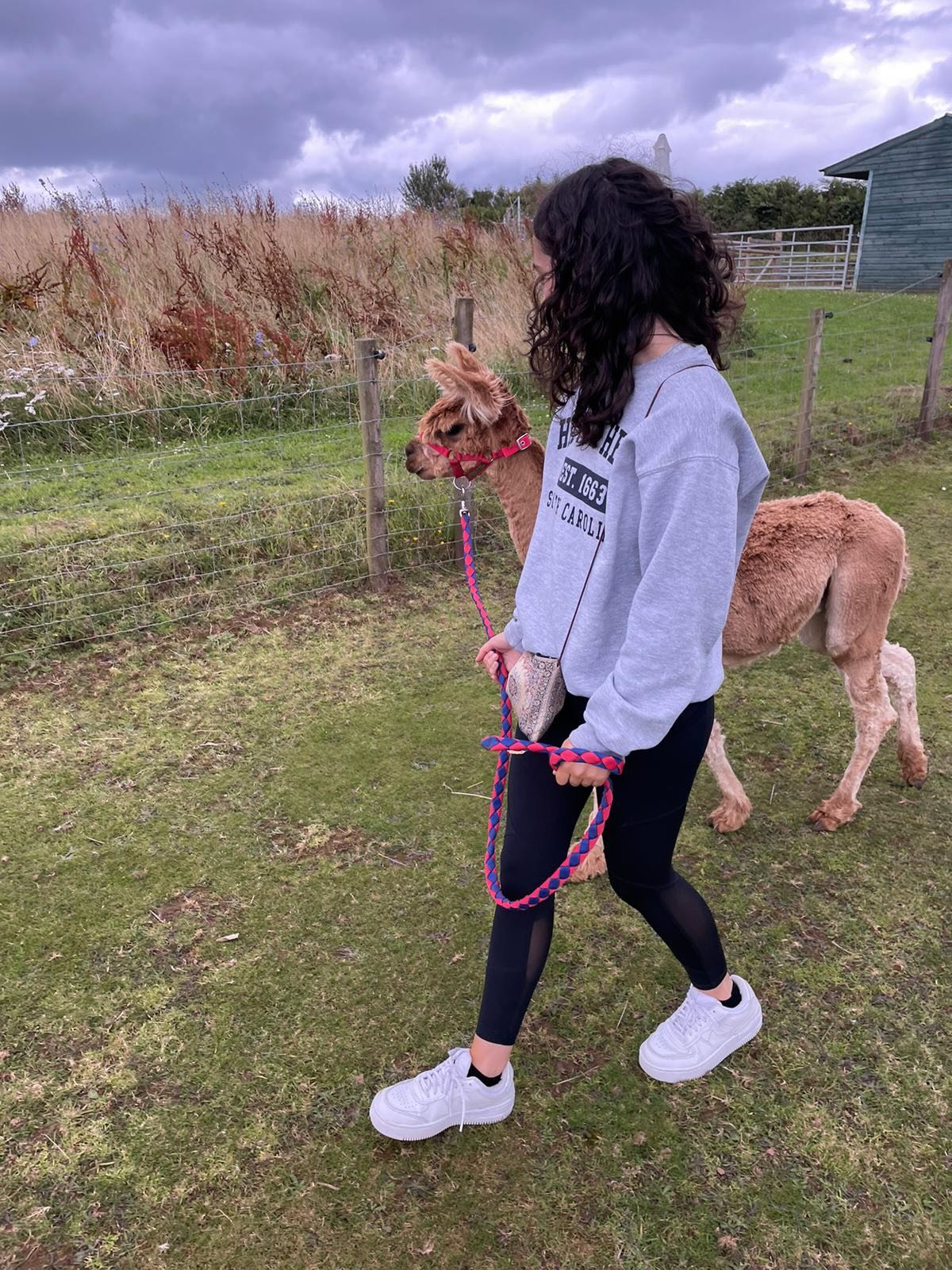 alpaca trek
