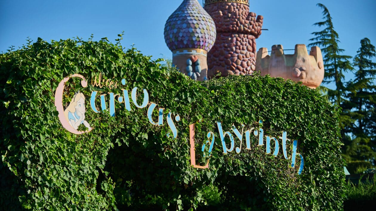 Alice In Wonderland Curious Labyrinth