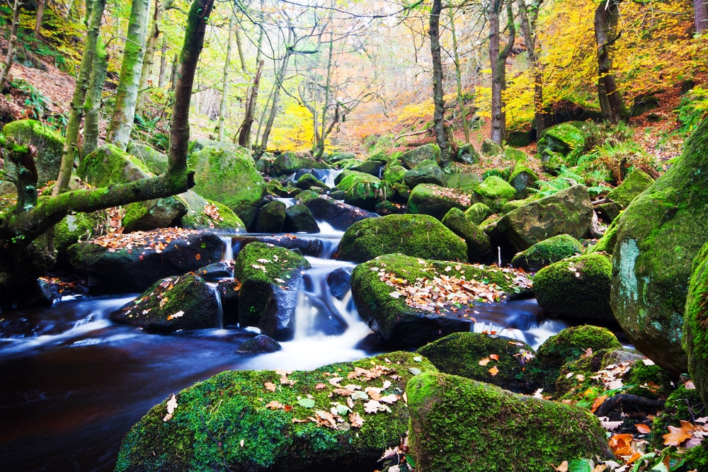 Padley Gorge