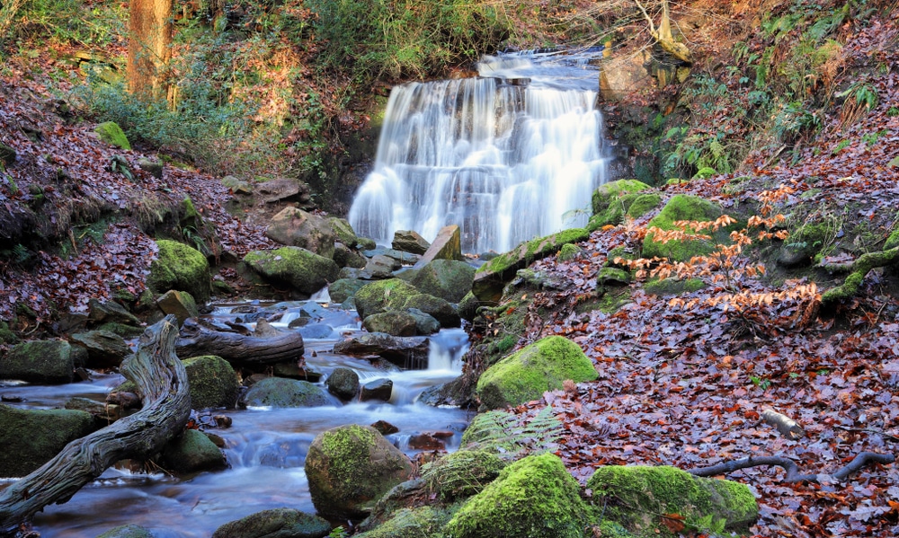 tigers clough waterfall