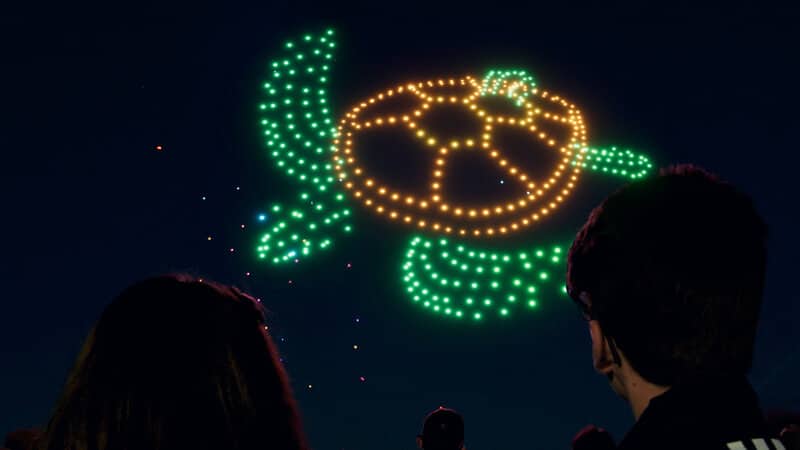 a drone sea turtle