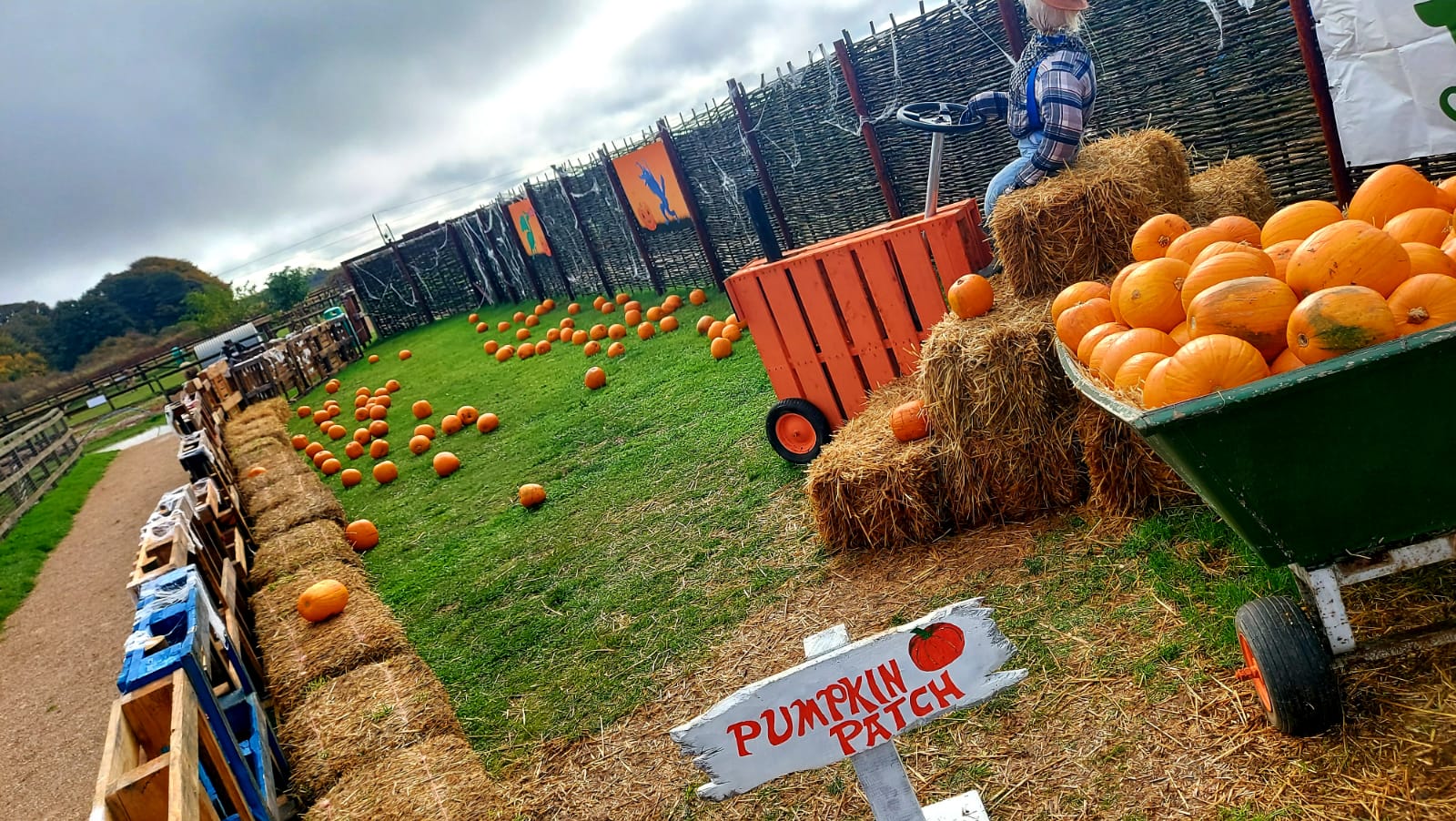 The Ultimate Guide to Pumpkin Picking Near London for Halloween 2026 The Ultimate Guide to Pumpkin Picking Near London for Halloween 2026