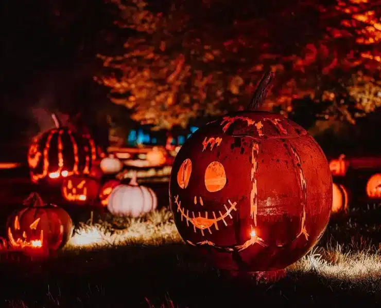 jack o lantern list up in the dark
