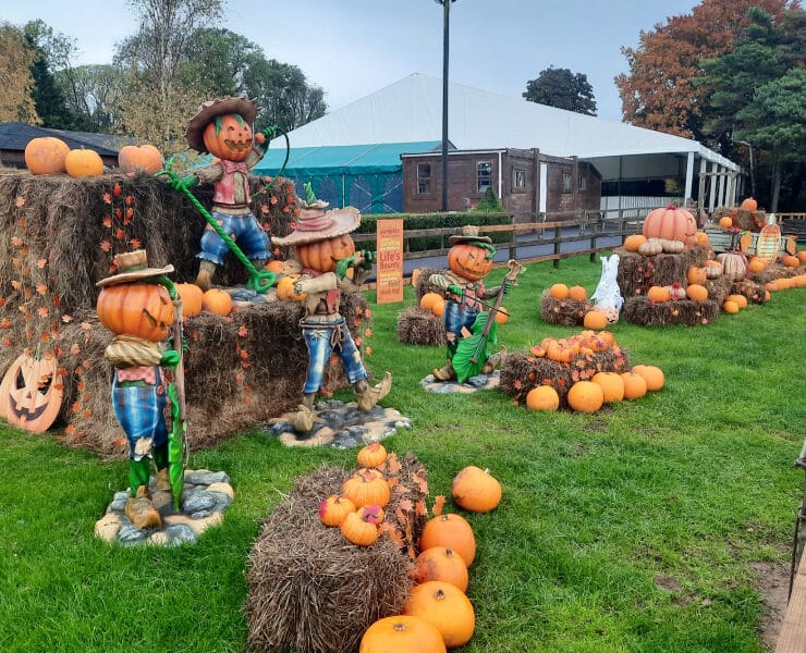 pumpkin display at stockeld park