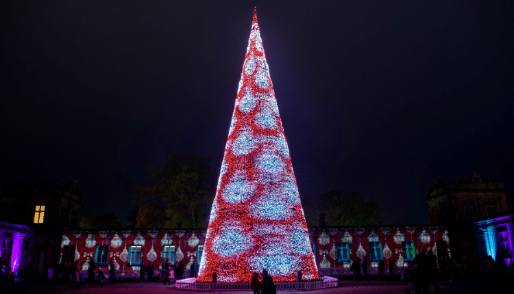 christmas tree show