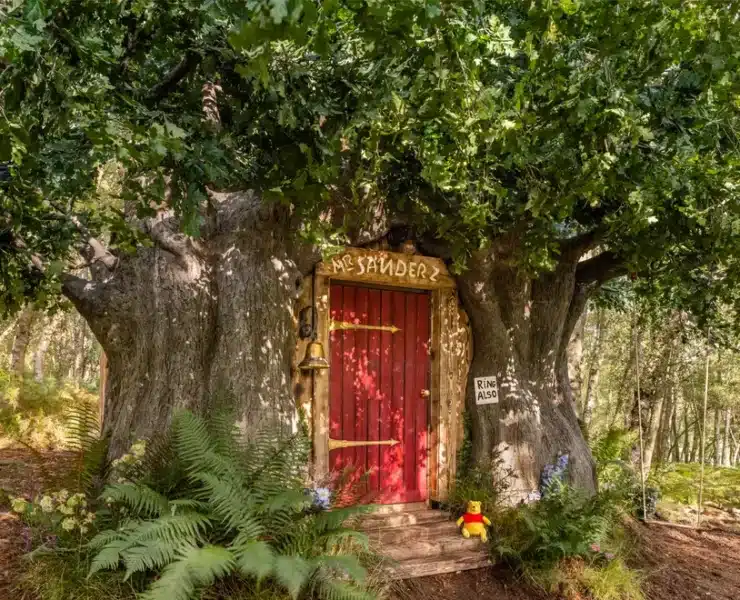 Real life Winnie the Pooh door