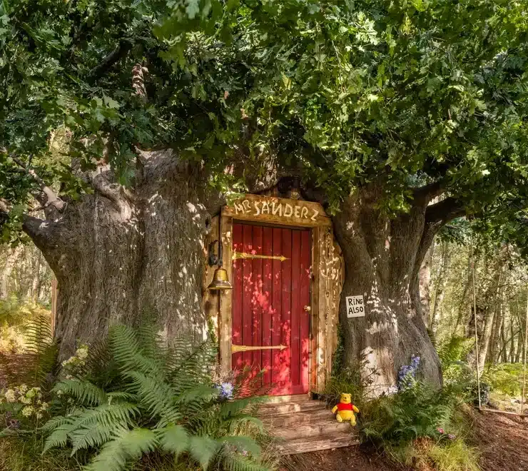 Real life Winnie the Pooh door