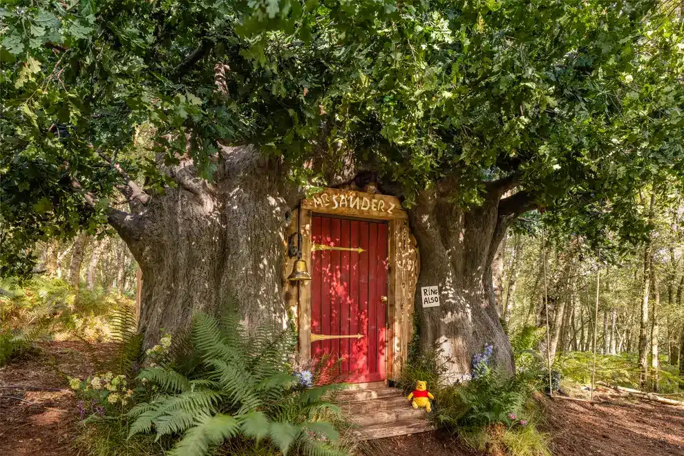 Real life Winnie the Pooh door