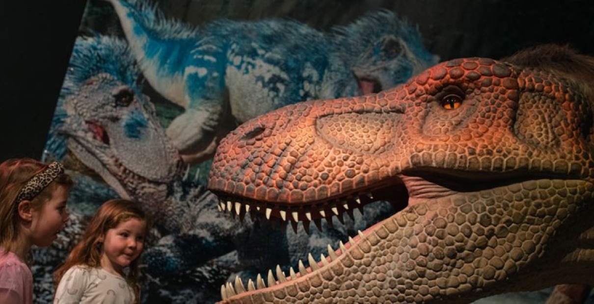 two girls looking at a t rex model