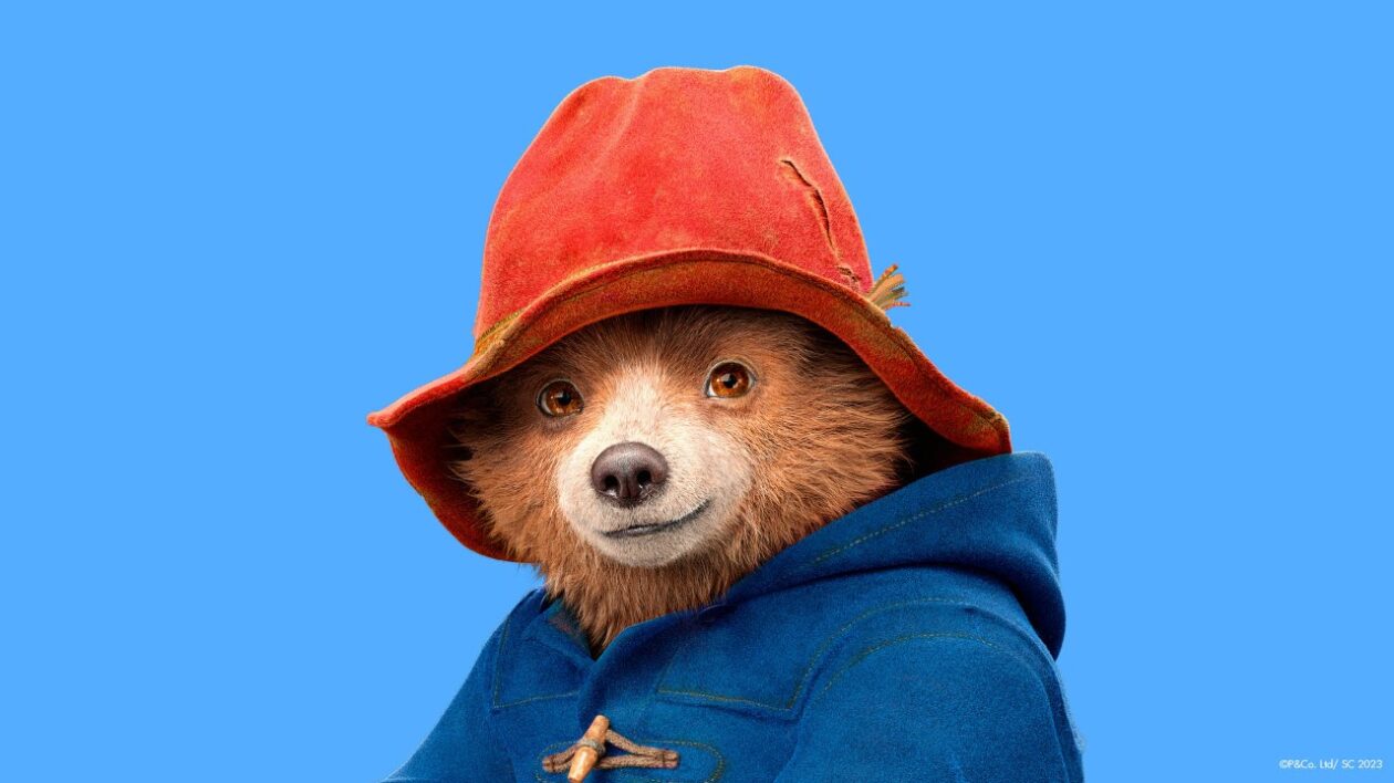 paddington bear on blue background