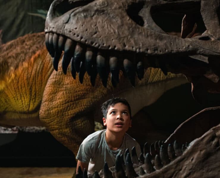 man looking at a t rex skull