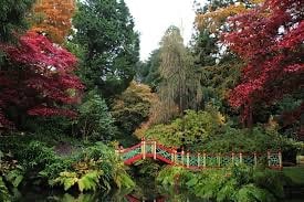 red and green trees with a red and green bridge