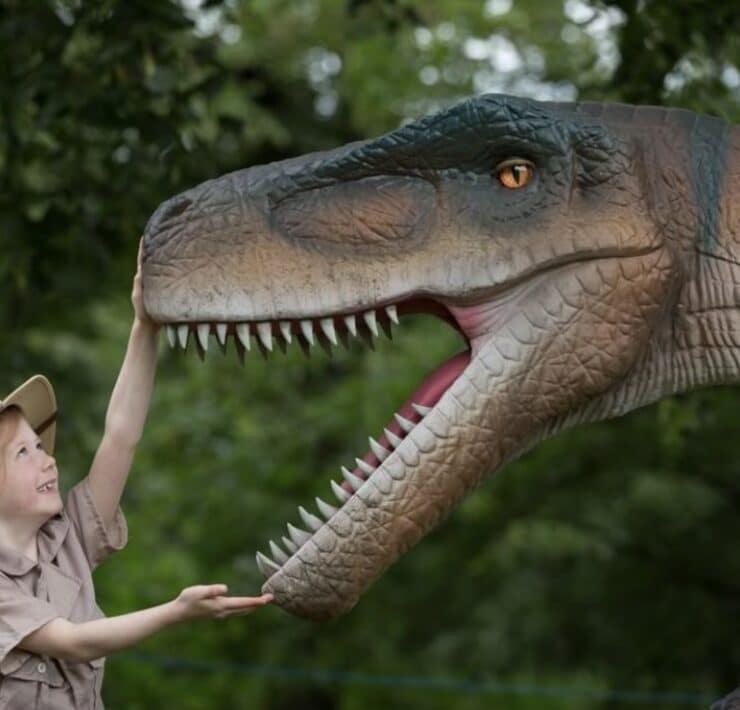 girl measuring a dinosaurs mouth