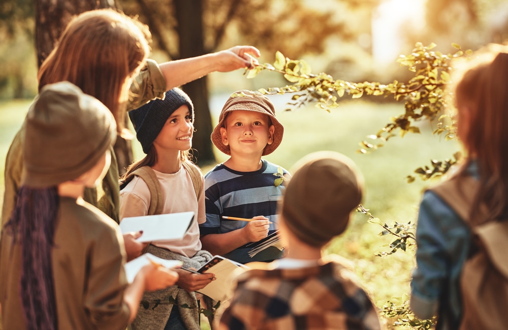 Forest kids summer camp and club