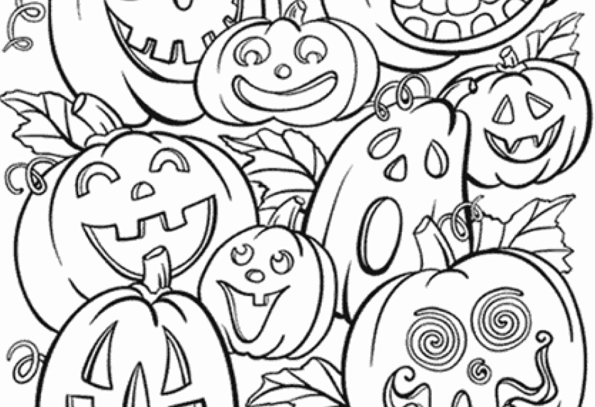 pumpkin picture