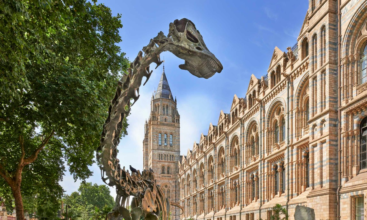 natural history museum