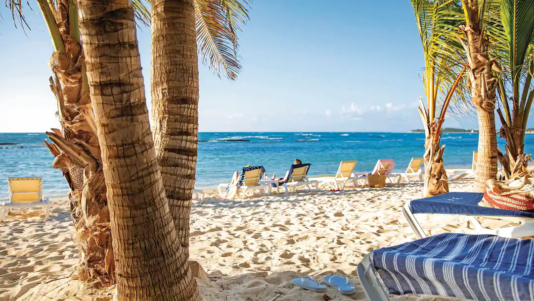 sandy beach