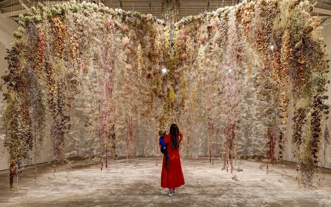 dried flowers hanging