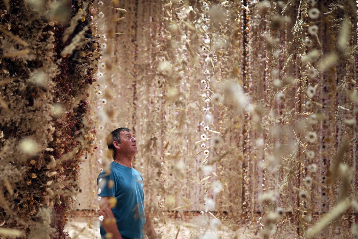 man walking through flowers hanging from the ceiling