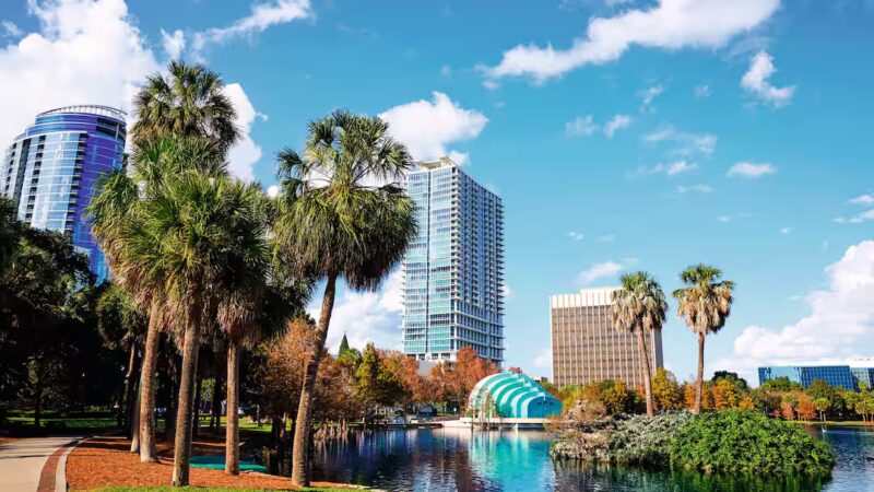 palm trees, high rise buildings and a lake