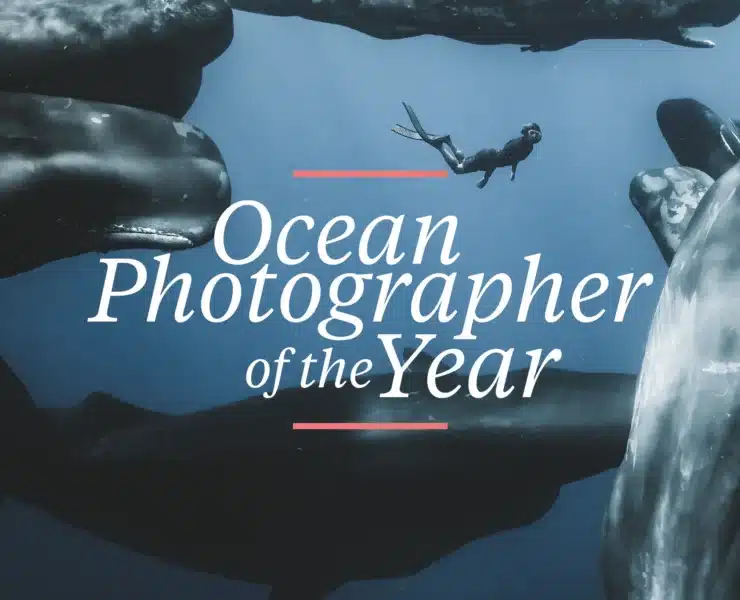 ocean photographer of the year