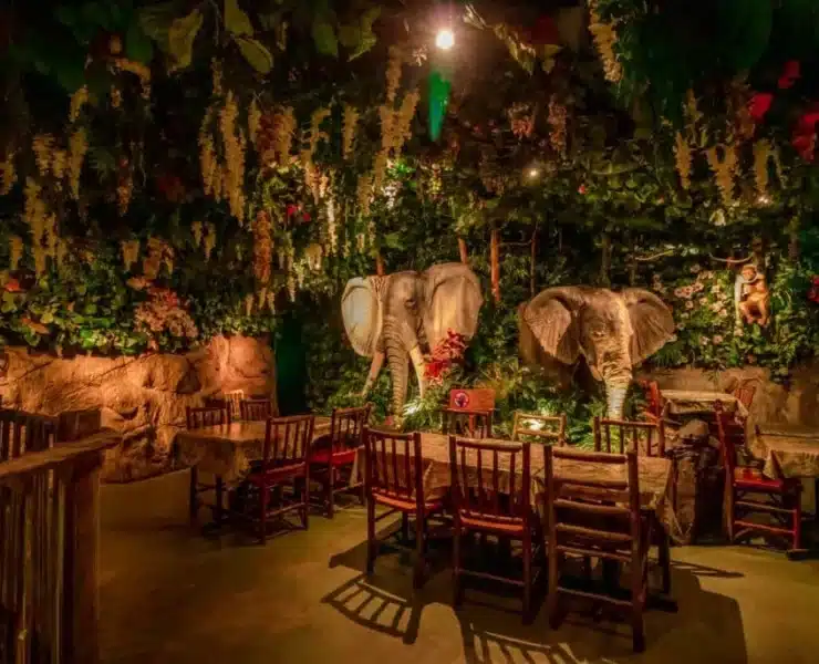 jungle cafe