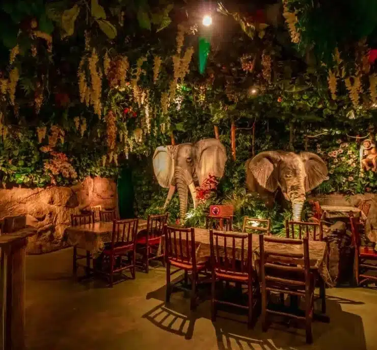 jungle cafe