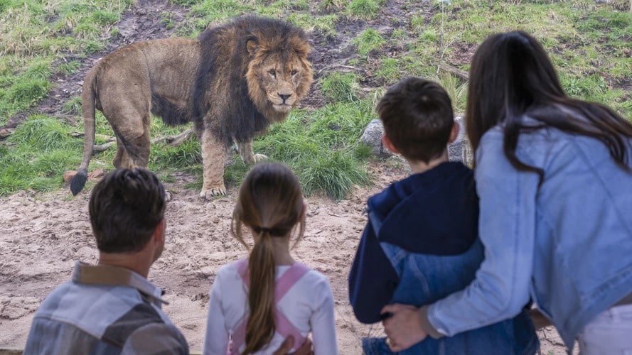 UK Family Days Out Weekly Round Up 29th May 2026 - Featured Image