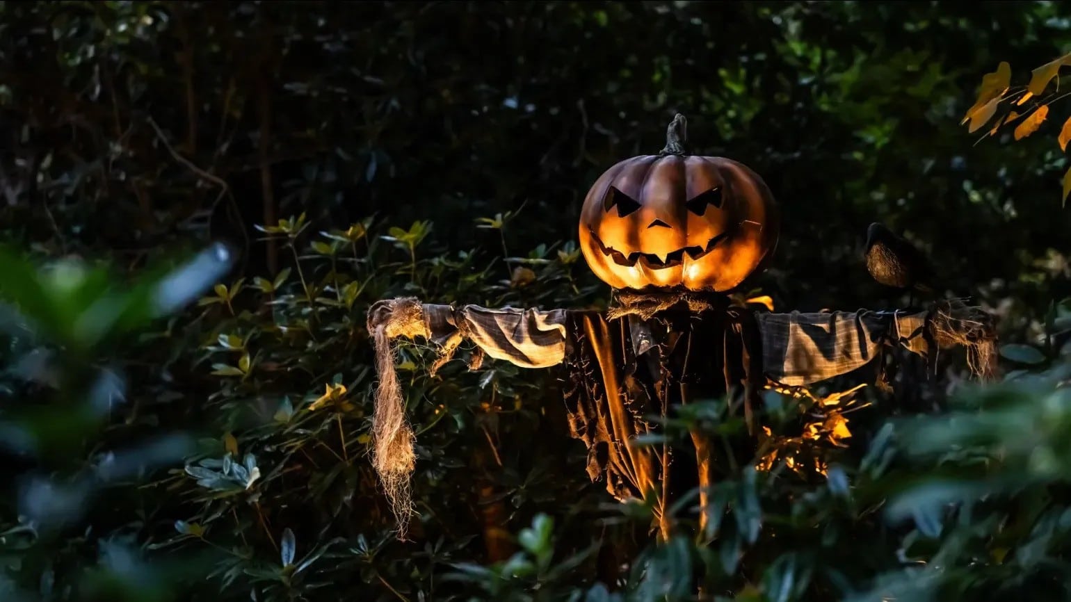 Your Ultimate Guide to the Best Halloween Events in London 2026 Your Ultimate Guide to the Best Halloween Events in London 2026