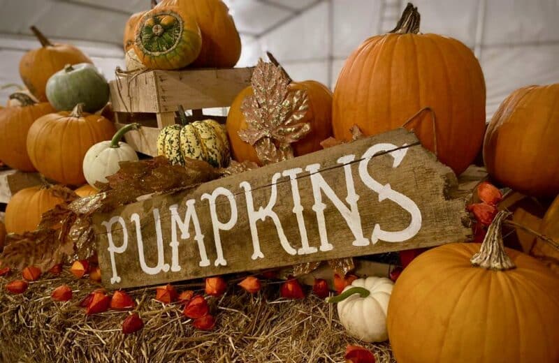 Spook-tacular Halloween Events in South Wales 2026!