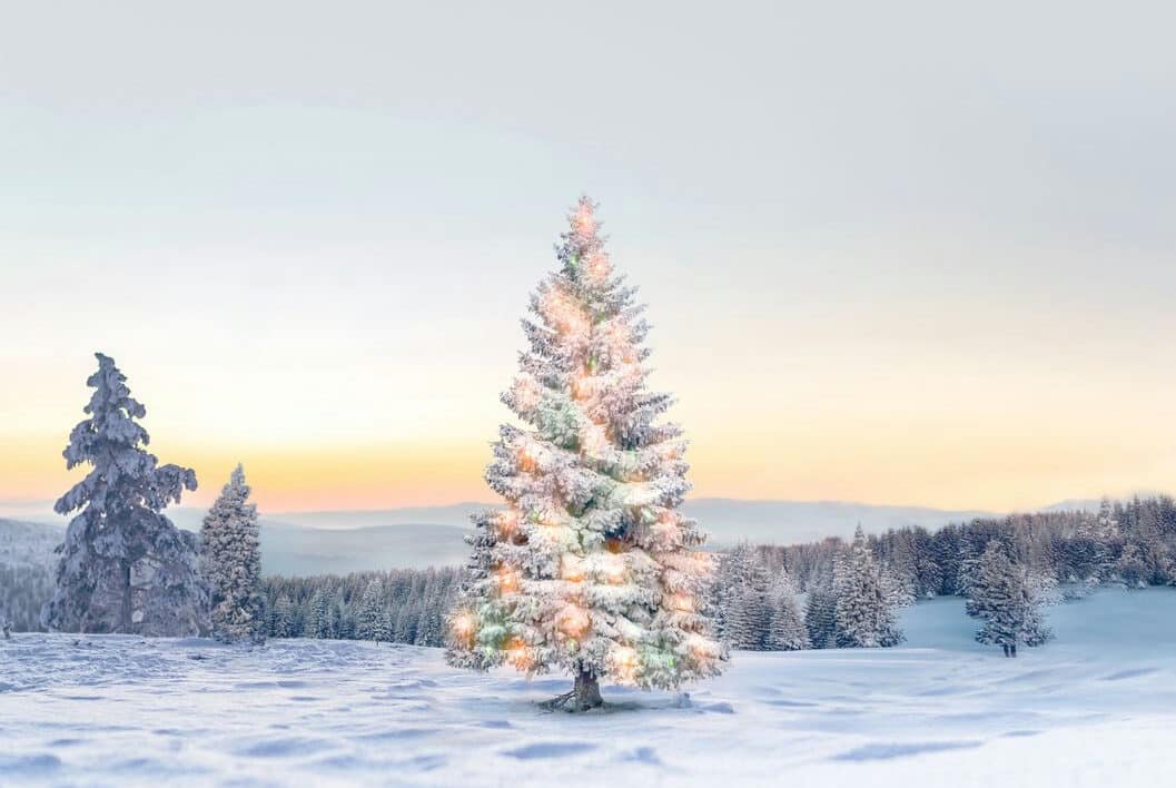 A snow-covered Christmas tree decorated with glowing fairy lights stands in a vast, wintry Lapland landscape at twilight