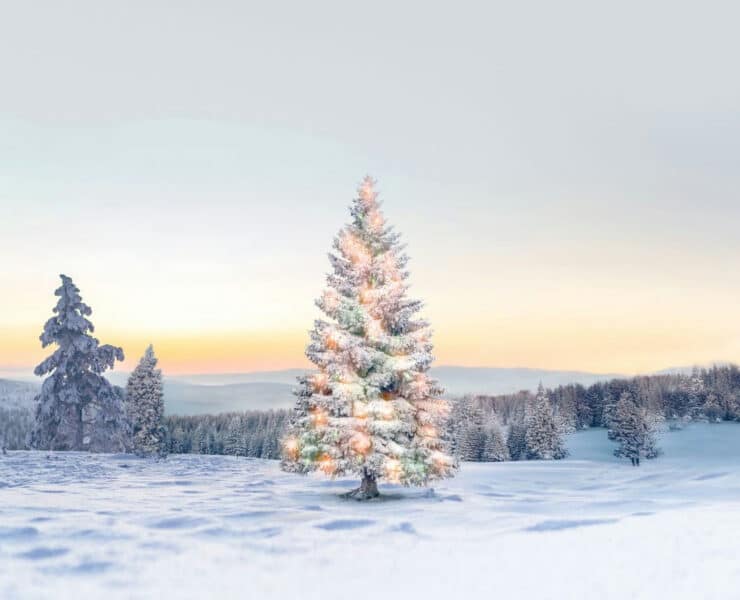 A snow-covered Christmas tree decorated with glowing fairy lights stands in a vast, wintry Lapland landscape at twilight