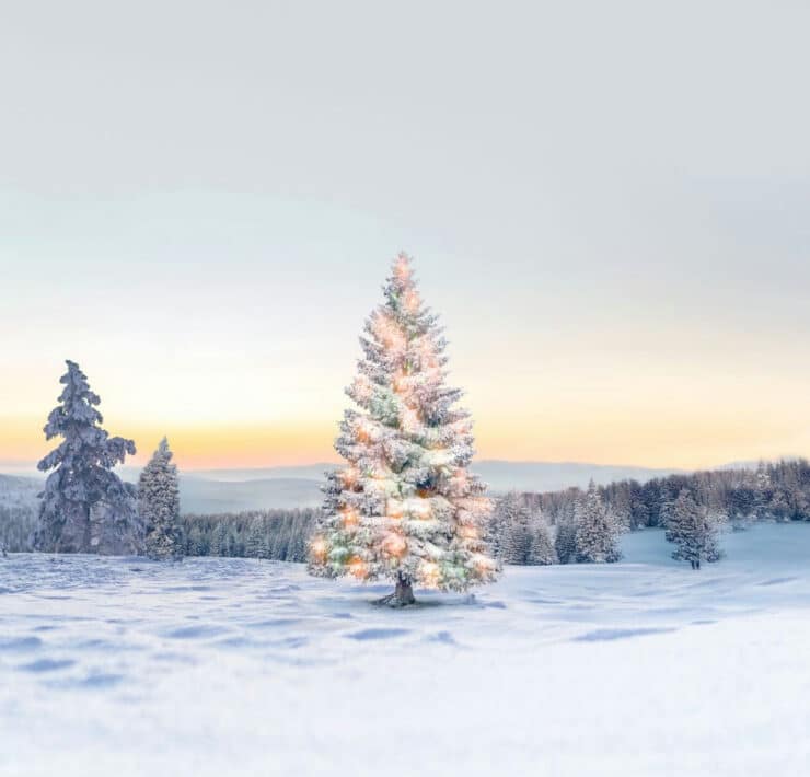 A snow-covered Christmas tree decorated with glowing fairy lights stands in a vast, wintry Lapland landscape at twilight